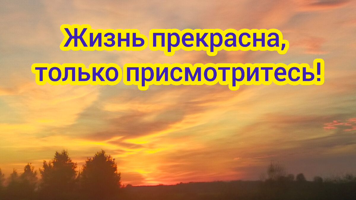 Личный архив. Этот закат, я сфотографировала 2 дня назад, когда ехала на Урал 
