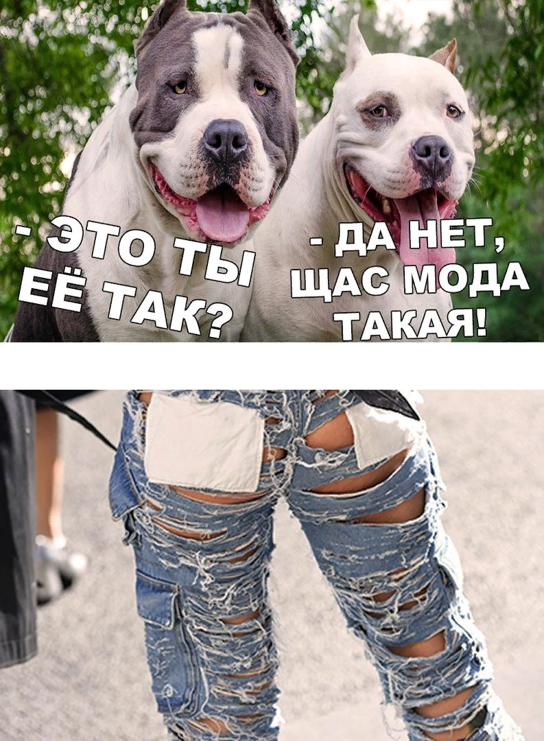 Картинки с приколами шутками