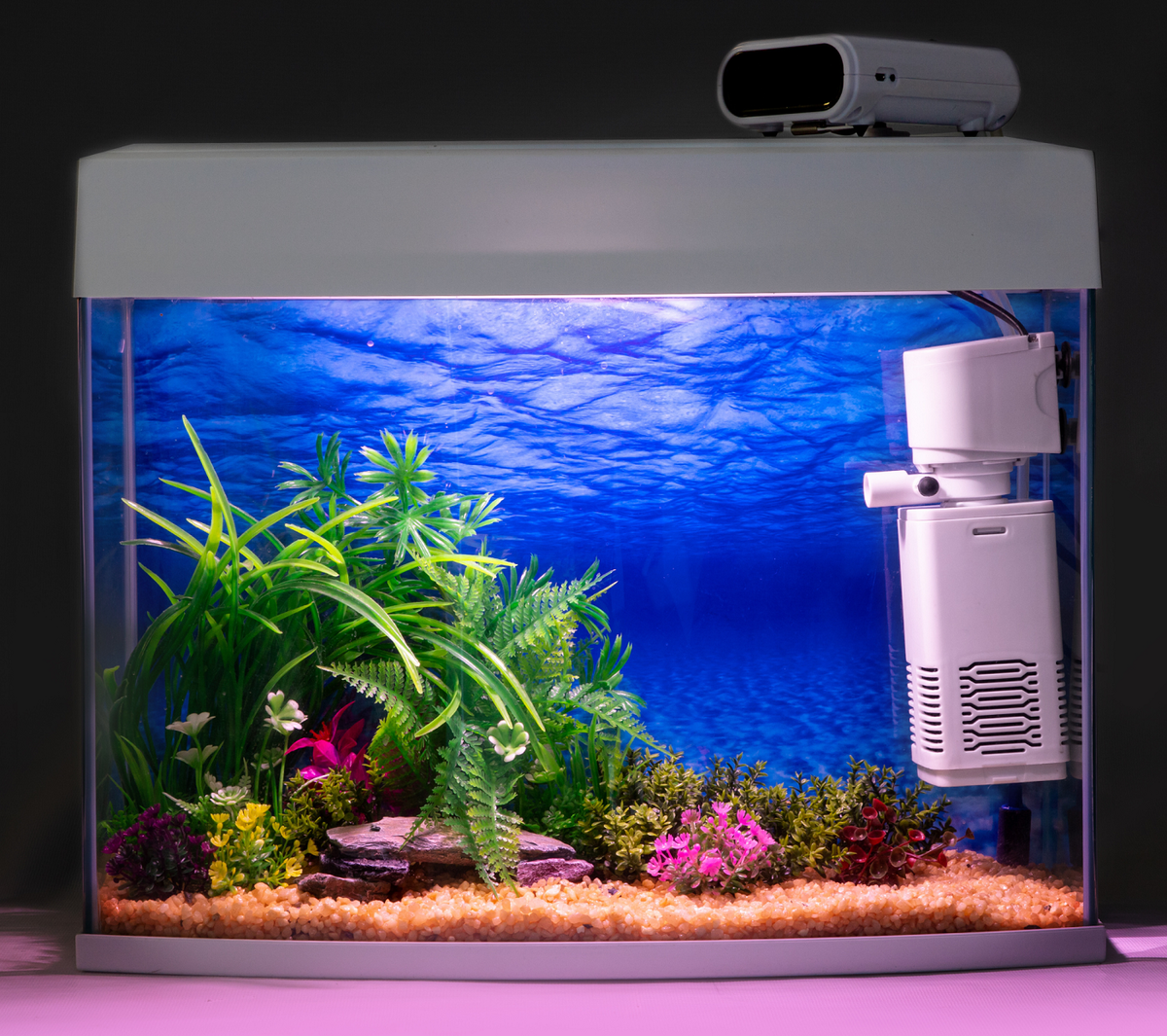 Какой должен быть фильтр для маленького аквариума?