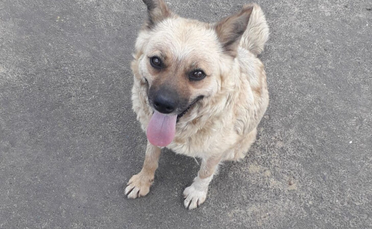    фото из архива Курских известий