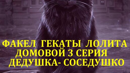 10 ФЕВРАЛЯ: ДЕНЬ РОЖДЕНИЯ ДОМОВОГО 3 СЕРИЯ: РАСКЛАДЫ «ДЕДУШКА-СОСЕДУШКО, ХОЗЯЮШКО-БРАТАНУШКО» БЫТОВАЯ МАГИЯ «ФАКЕЛ ГЕКАТЫ ЛОЛИТА» ВИДЕО № 93