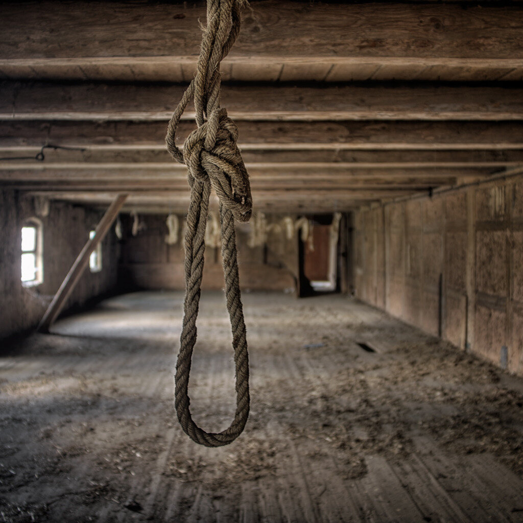 Изображение взято из открытых источников интернета. 