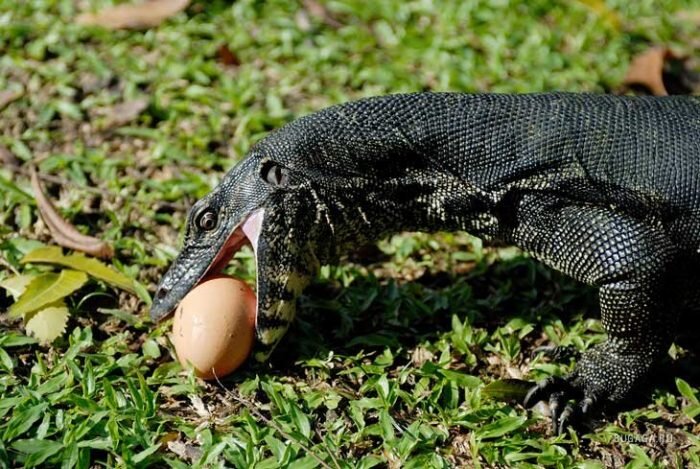 Источник: yandex.ru