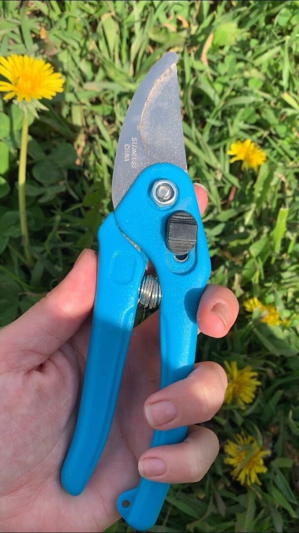 Секатор за 99 рублей Fix Price