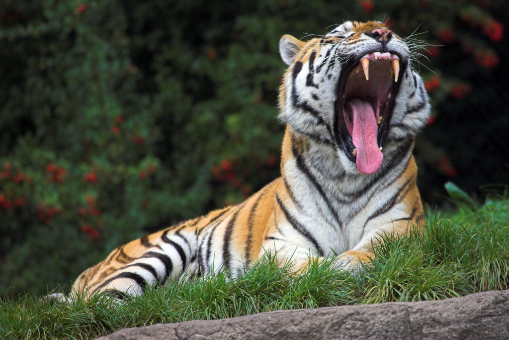 Фото: Jürgen/Flickr