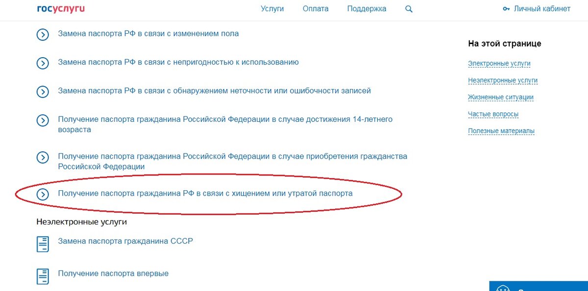 скрин сайта www.gosuslugi.ru