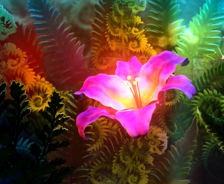 фото из открытого источника