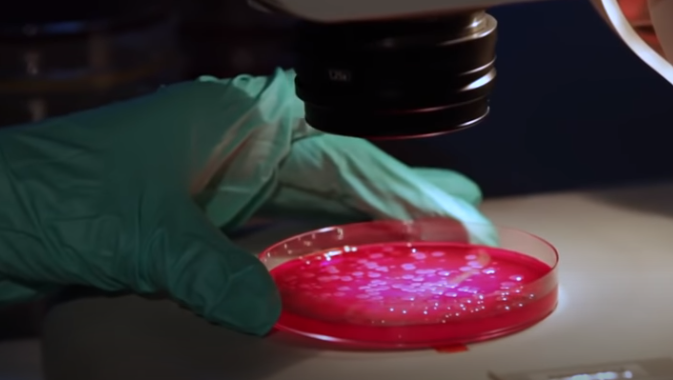 исследования антибиотика