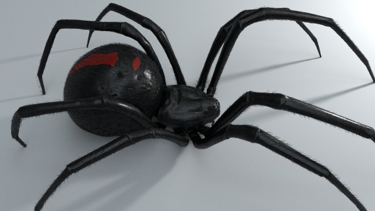 Черная Вдова