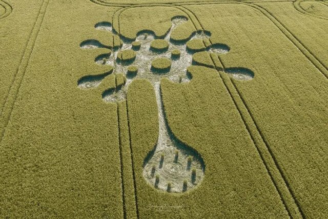 Фото: ufosightingsdaily.com