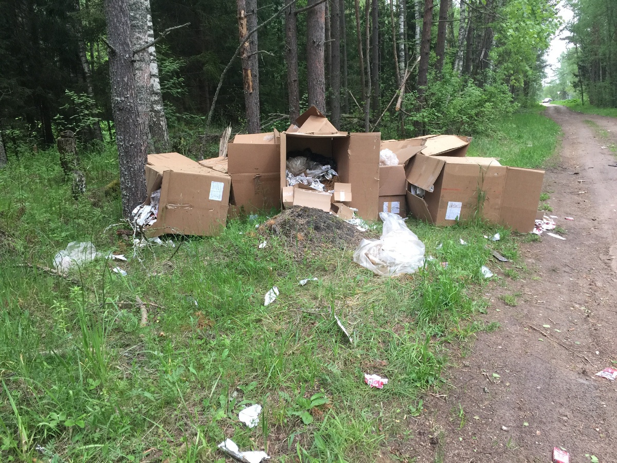 В далеке виднеется съезд с асфальтированной дороги