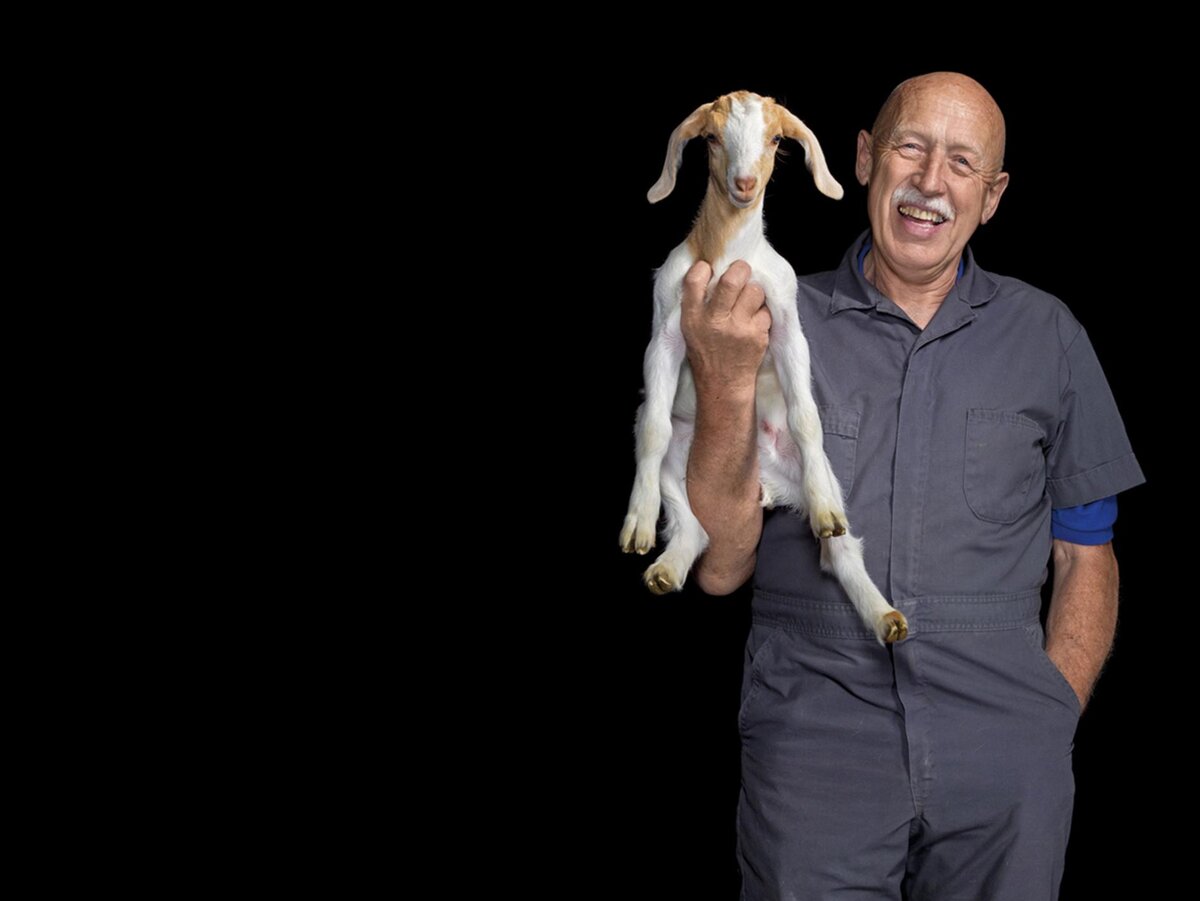 Доктор Пол (Яндекс картинки)