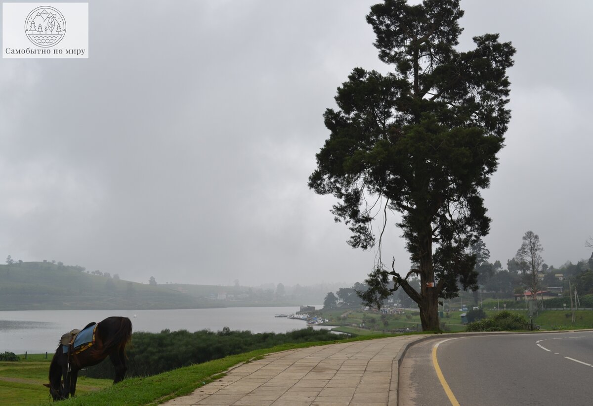 озеро Gregory lake