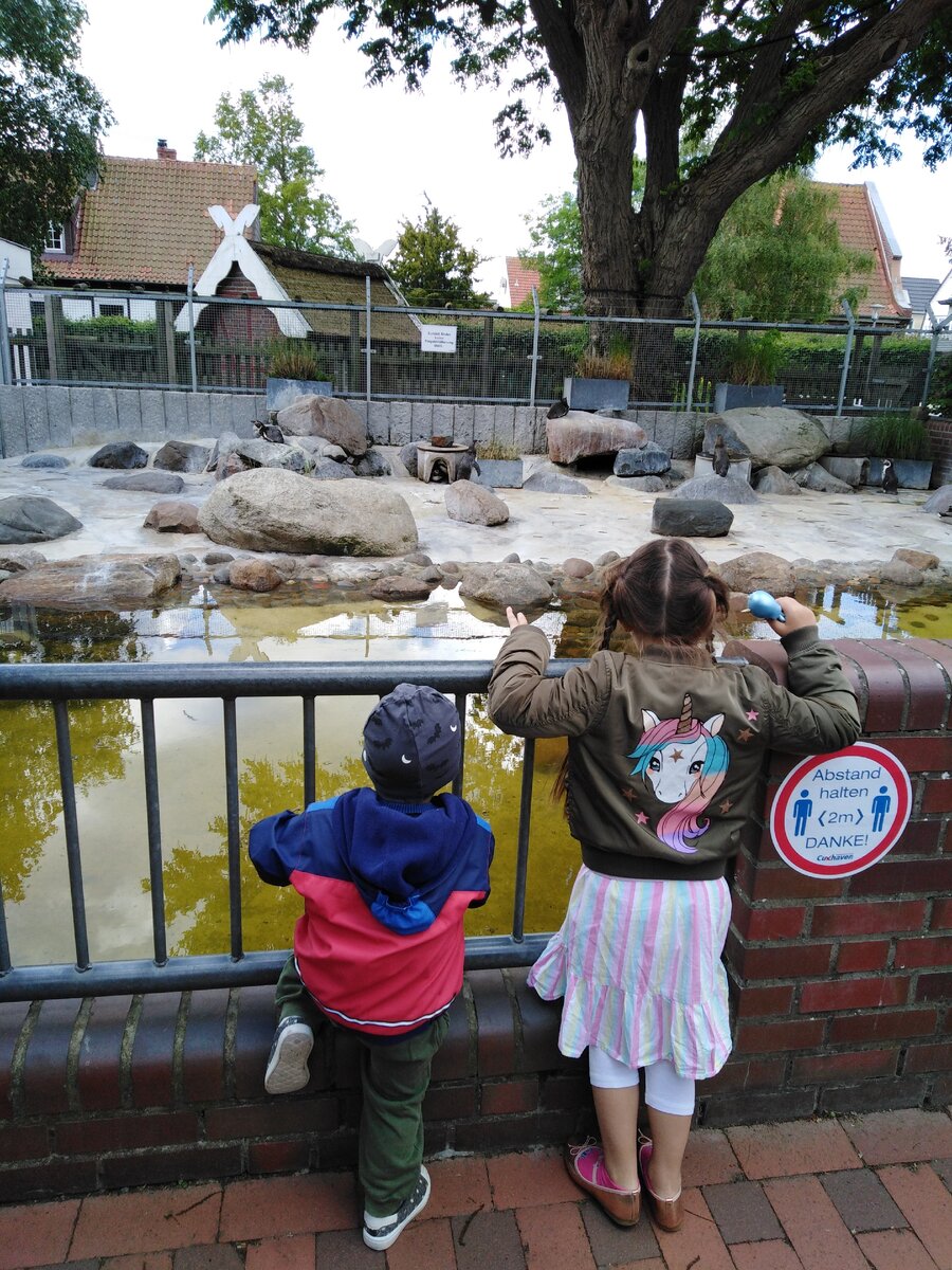 Садик садиком, а мы на Северном море! 