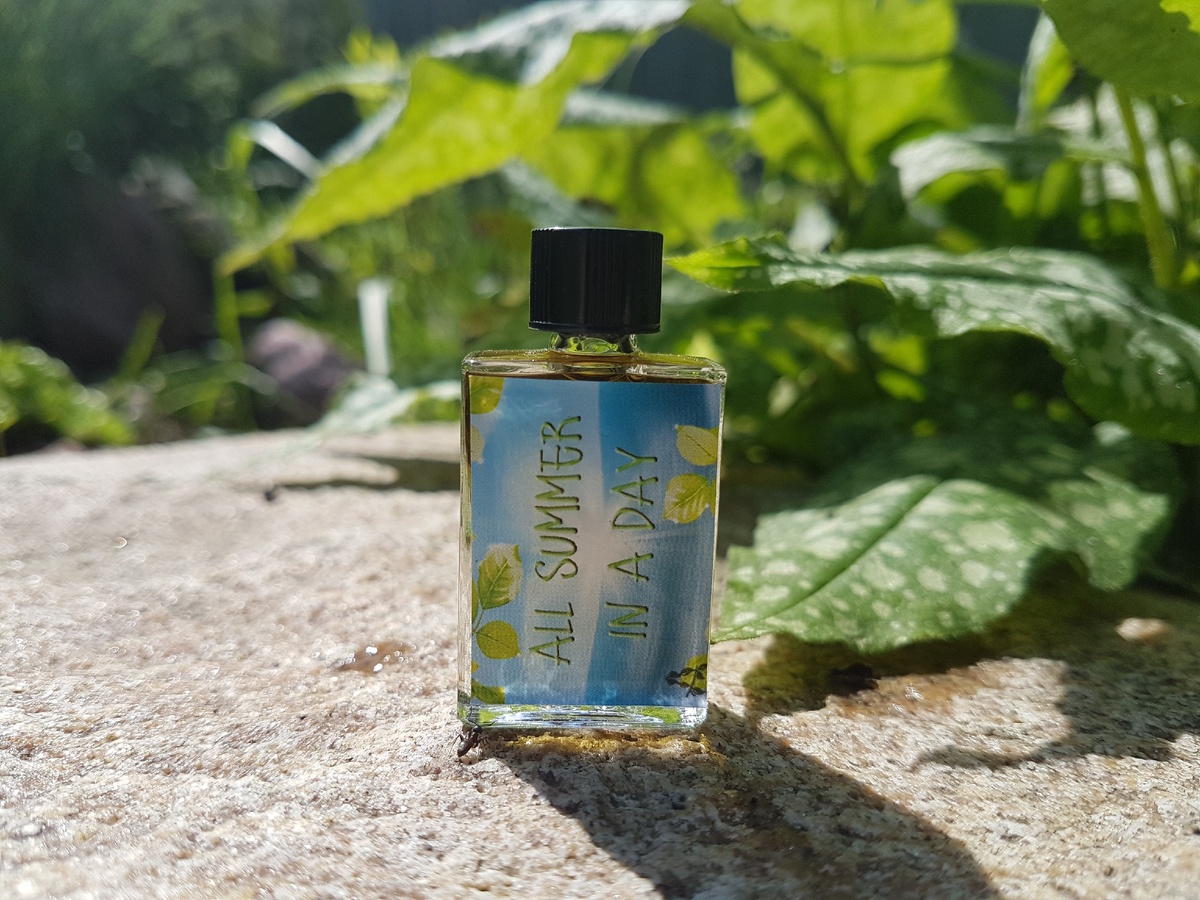 Acidica Perfumes духи All Summer in a Day