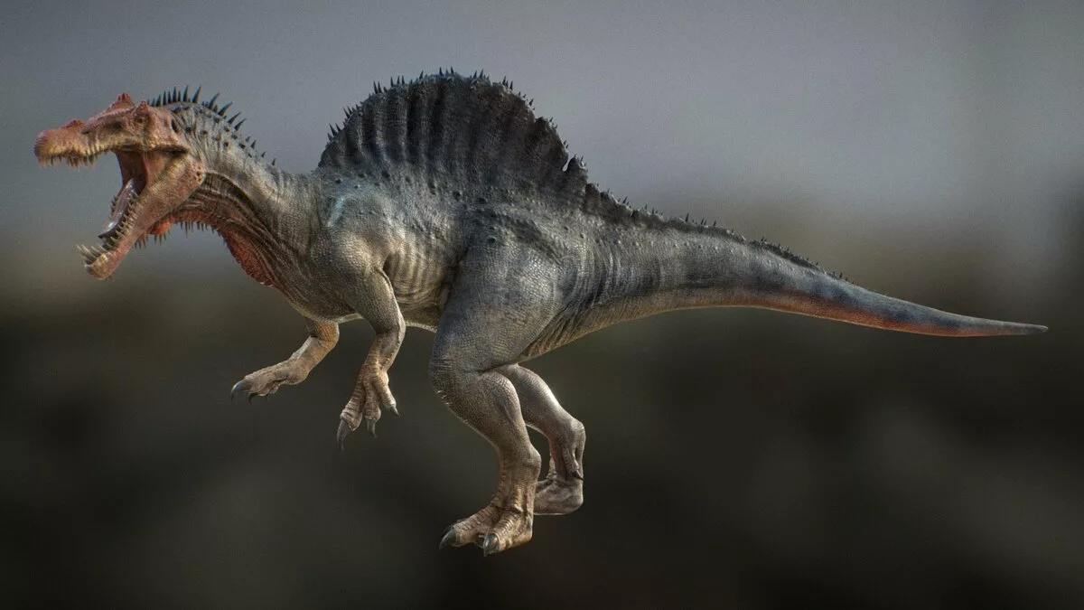 Большой хищный динозавр. Динозавр Спинозавр. Спинозавр Египетский. Spinosaurus maroccanus. Спинозавр парк Юрского периода 3.