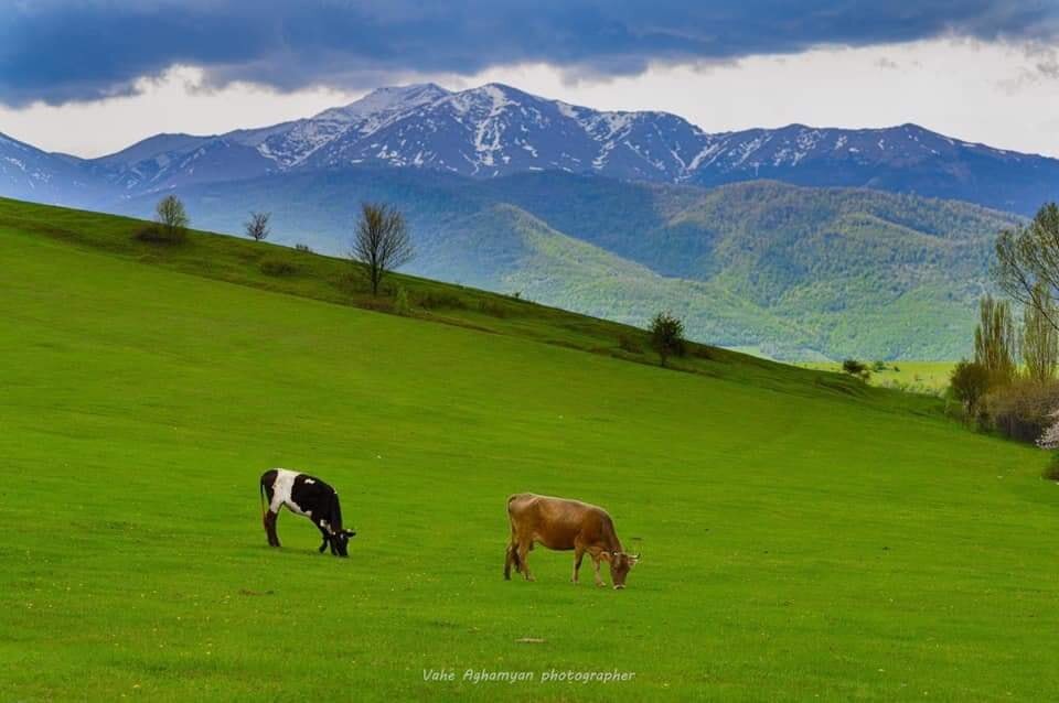 Дсех село армения