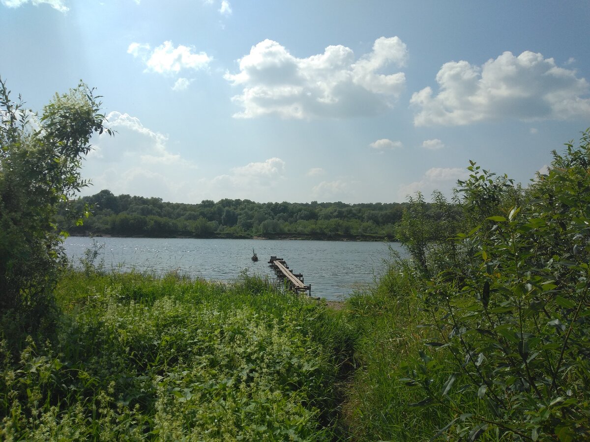 На Оке есть не только пляжи, но и уютные места, где можно и искупаться, и порыбачить, и просто порелаксировать. Личное фото