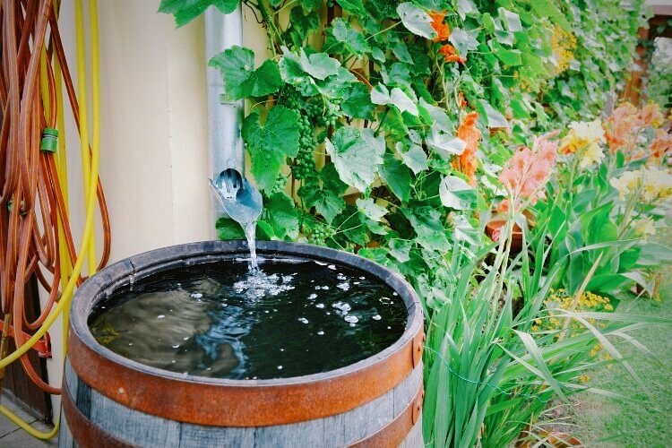 Сбор дождевой воды