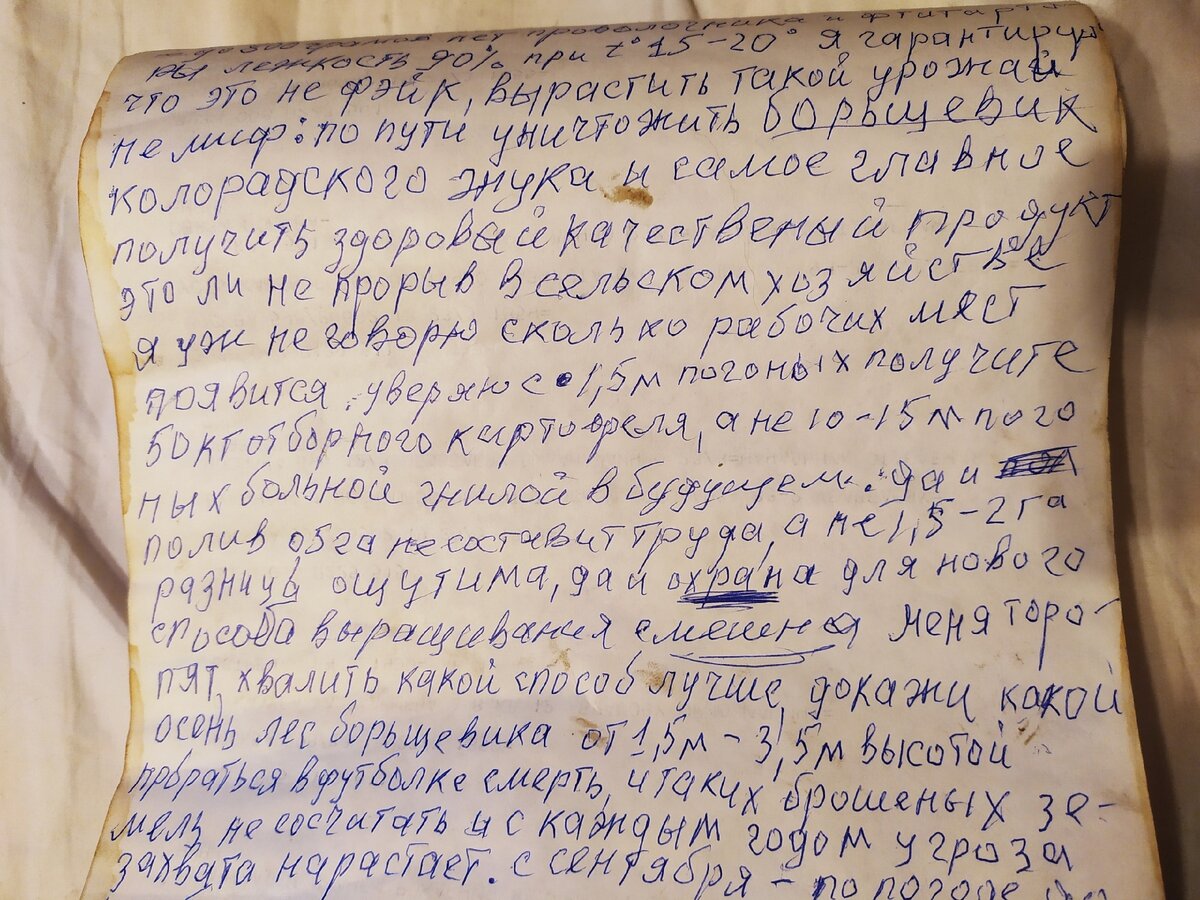 Записки пенсионера: «Я справляюсь с борщевиком сам». | Танюшка Любимая |  Дзен