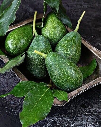 Фото взято из pinterest 