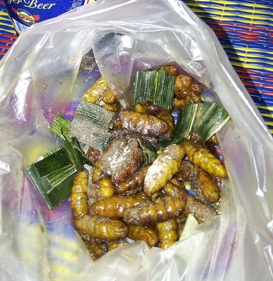 личинки бамбукового  златки, пожаренные в масле к пиву, присыпанные сахарком