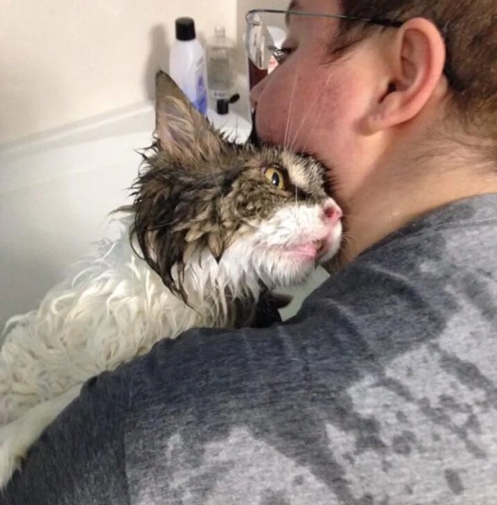 facebook.com/pg/KittyAdventureRescue
