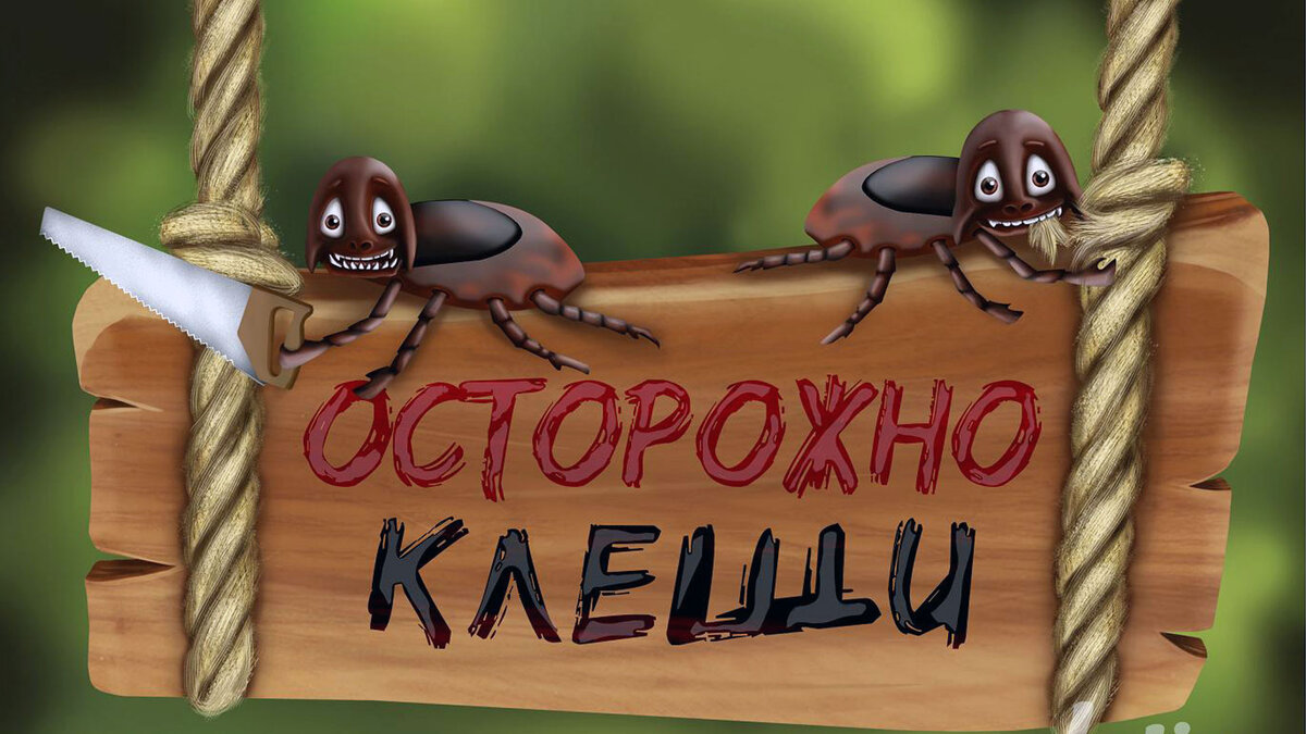 уничтожение клещей