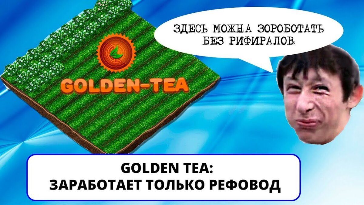 Golden tea. Можно ли заработать? Вся правда! | MoneyUP Заработок в  интернете | Дзен