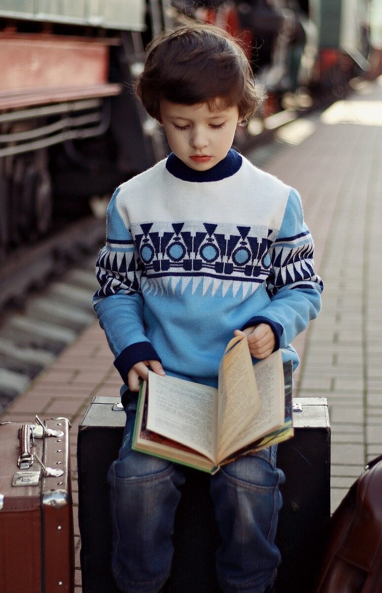 Мальчик и книга