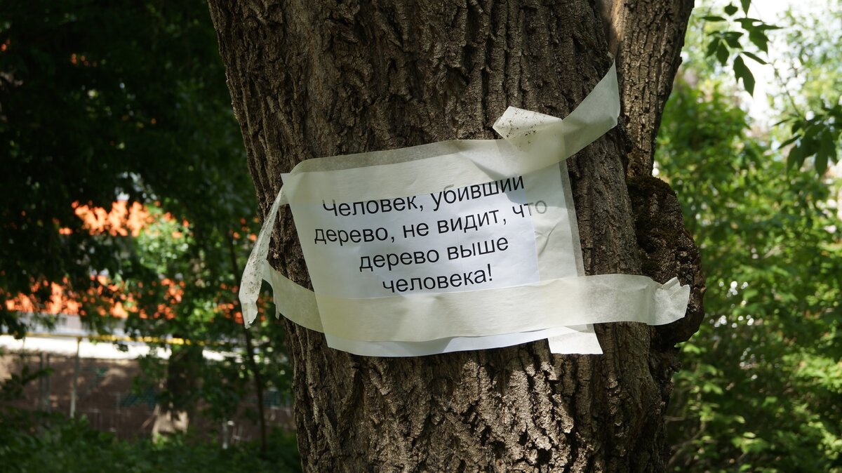 Накануне на деревьях в парке, появились вот такие листовки. 