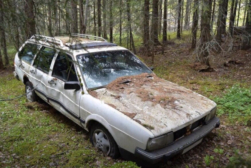 Брошенные автомобили в лесу