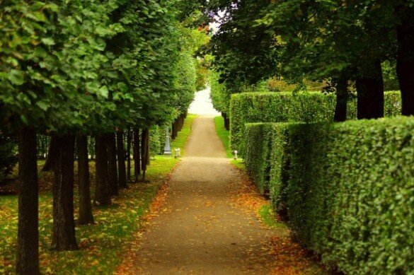 Фото: pixabay.com 
