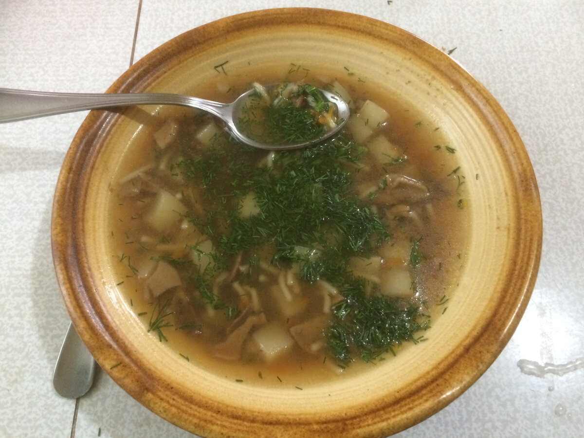 Суп из белых грибов с вермишелью