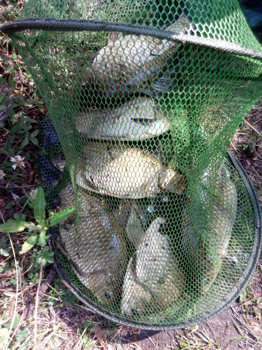 Прошлогодний улов, но не весь.