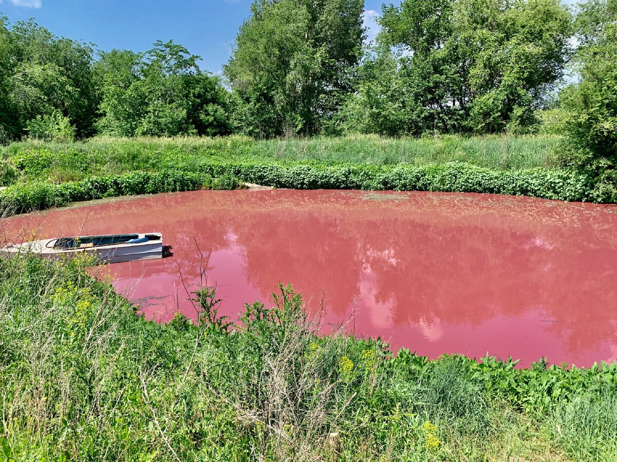 самаровское озеро в королеве