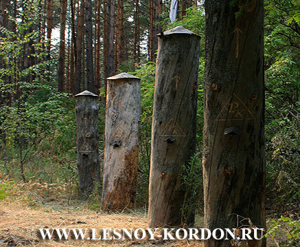 Лесная База "СеГУР"