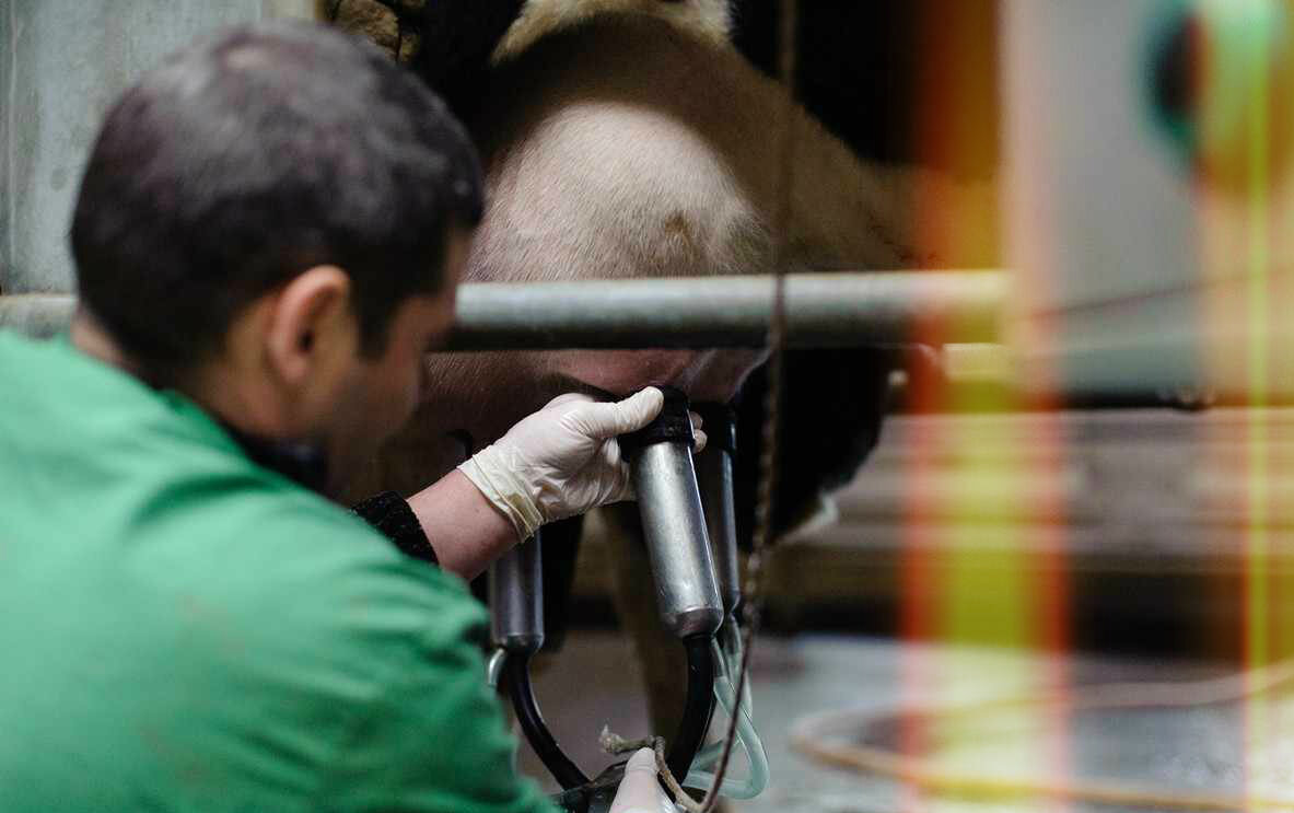 Фото из свободного доступа в авторской обработке