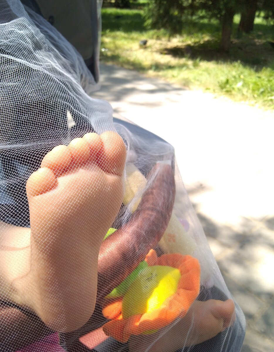 Сезон мошки. На улицу — только с москитной сеткой