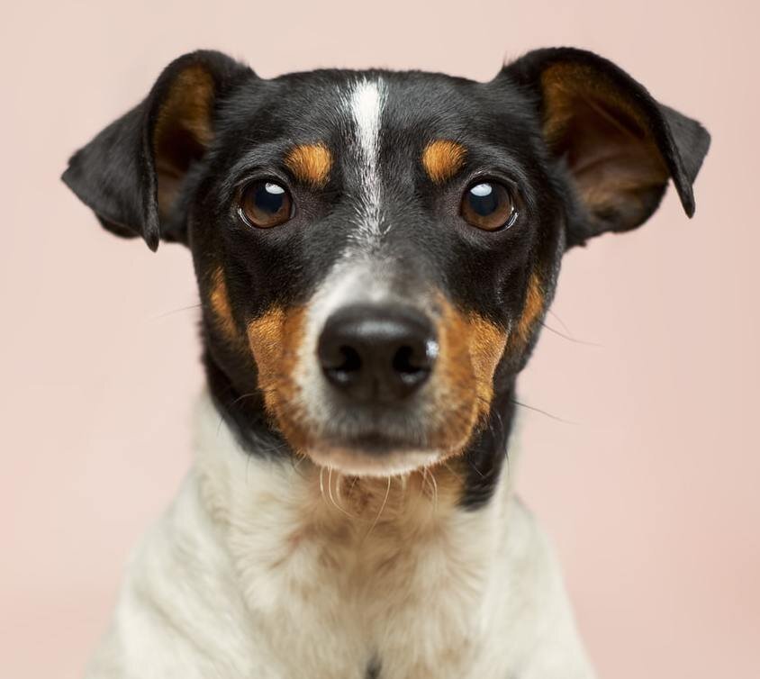 Фото взято в качестве иллюстрации ( Unsplash by Victor Grabarczyk)