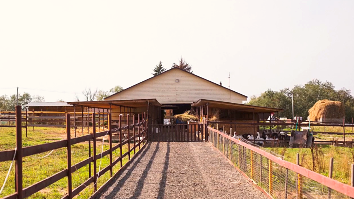 Усадьба, эко-ферма "4 Сезона" 