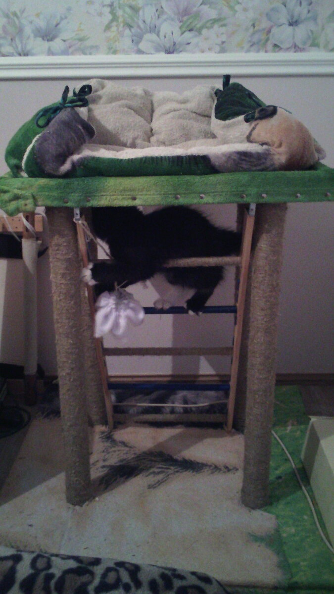 Я был доволен проделанной работой.