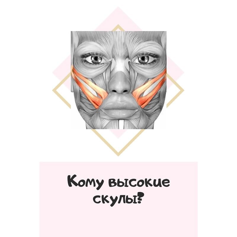 Комки биша на схеме лица
