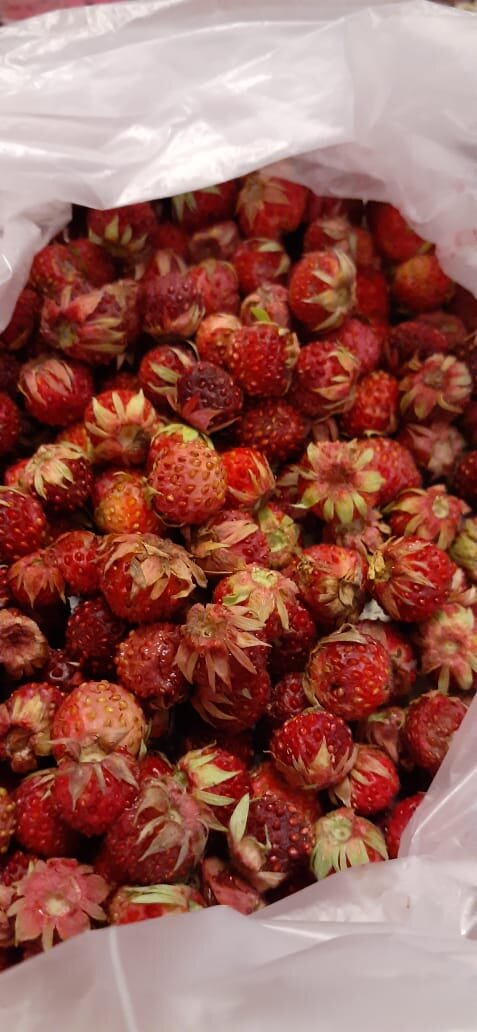 Лесная клубника