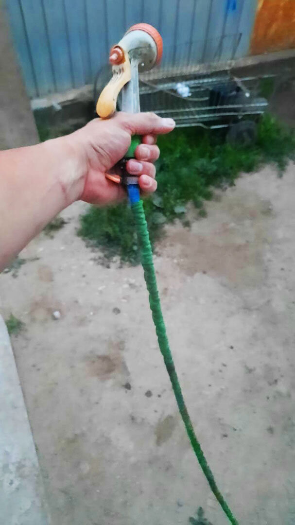 Мне зеленый больше нравится