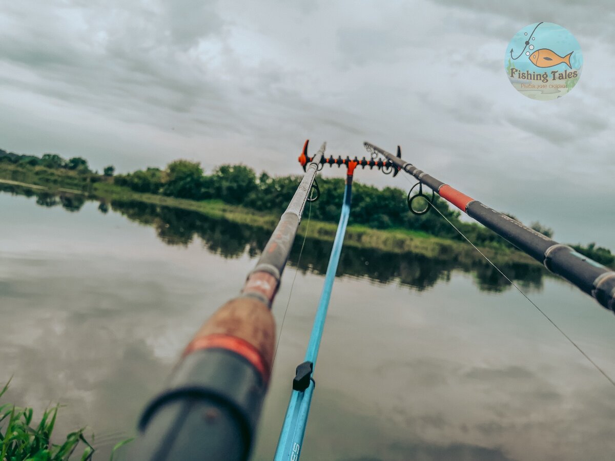 Фото: Fishing Tales 
