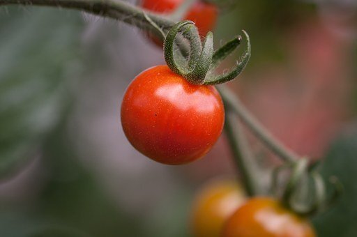 Фото из свободных источников