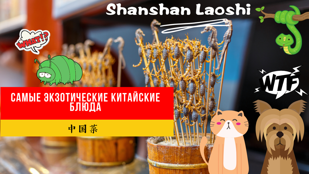 от собаки до мышонка