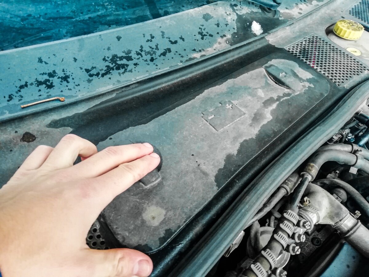 На моем VW Passat аккумуляторная батарея дополнительно защищена от попадания влаги и грязи на ее контакты