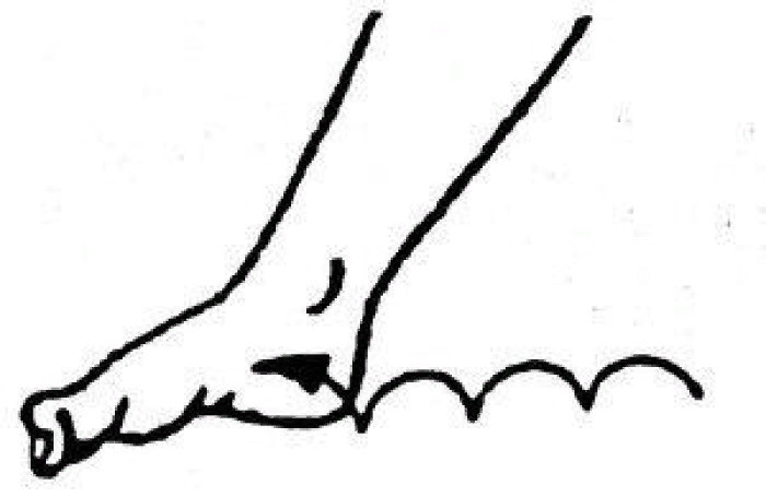 изображение с сайта Яндекс картинки - hi-life.ru - свободный доступ